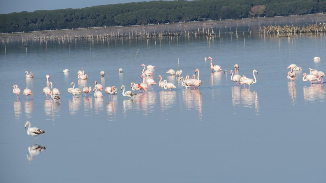 L'Isola Aer B&B Lesina Luaran gambar